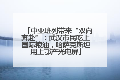 中亚班列带来“双向奔赴”：武汉市民吃上国际粮油，哈萨克斯坦用上鄂产光电屏