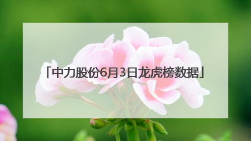 中力股份6月3日龙虎榜数据
