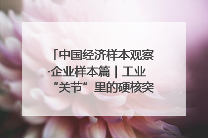 中国经济样本观察·企业样本篇｜工业“关节”里的硬核突围——老企业洛轴创新蝶变启示录