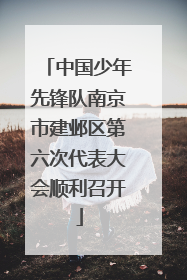 中国少年先锋队南京市建邺区第六次代表大会顺利召开