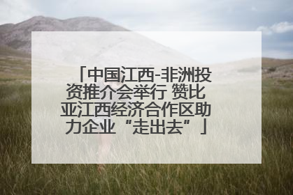中国江西-非洲投资推介会举行 赞比亚江西经济合作区助力企业“走出去”
