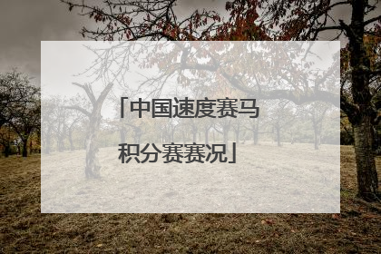 中国速度赛马积分赛赛况
