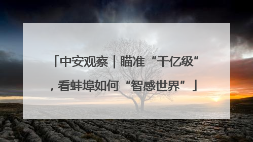 中安观察｜瞄准“千亿级”，看蚌埠如何“智感世界”