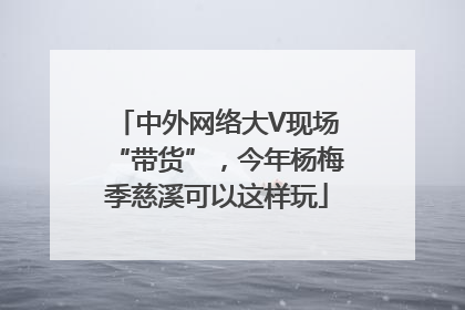 中外网络大V现场“带货”，今年杨梅季慈溪可以这样玩