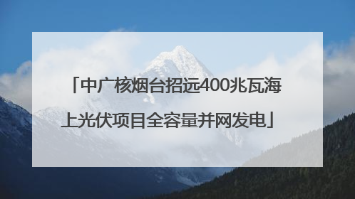 中广核烟台招远400兆瓦海上光伏项目全容量并网发电