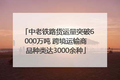 中老铁路货运量突破6000万吨 跨境运输商品种类达3000余种