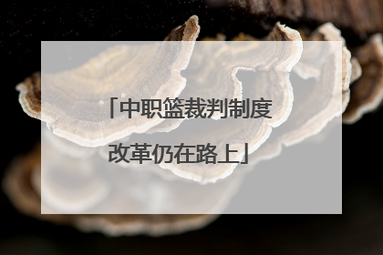 中职篮裁判制度改革仍在路上