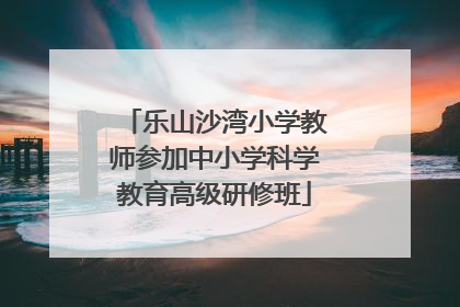 乐山沙湾小学教师参加中小学科学教育高级研修班