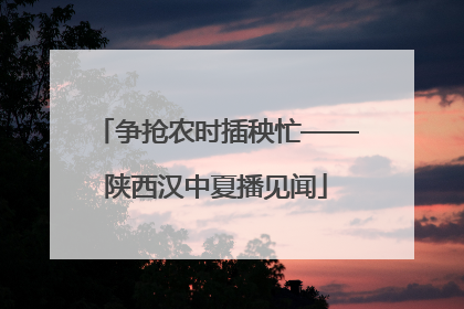 争抢农时插秧忙——陕西汉中夏播见闻