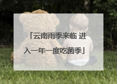 云南雨季来临 进入一年一度吃菌季