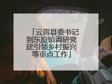 云霄县委书记到东厦镇调研党建引领乡村振兴等重点工作
