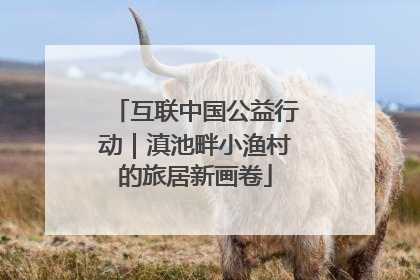 互联中国公益行动｜滇池畔小渔村的旅居新画卷
