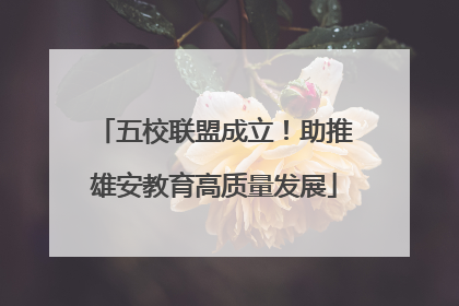 五校联盟成立！助推雄安教育高质量发展