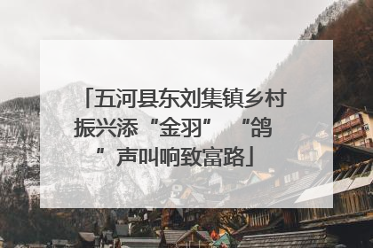 五河县东刘集镇乡村振兴添“金羽” “鸽”声叫响致富路