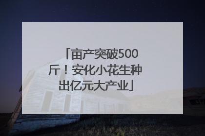 亩产突破500斤！安化小花生种出亿元大产业