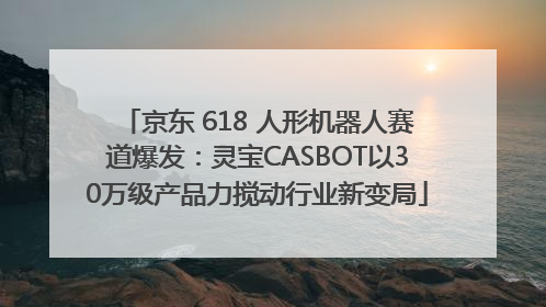 京东 618 人形机器人赛道爆发：灵宝CASBOT以30万级产品力搅动行业新变局