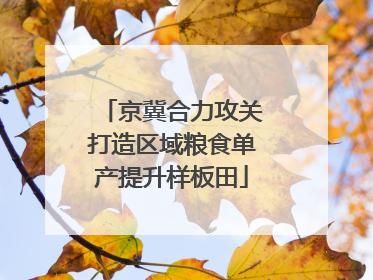 京冀合力攻关打造区域粮食单产提升样板田