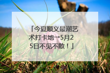 今夏顺义最潮艺术打卡地→5月25日不见不散！