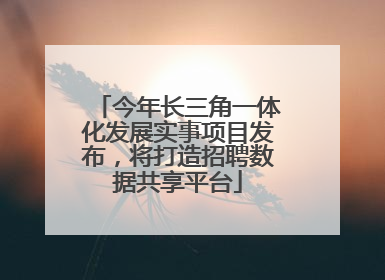 今年长三角一体化发展实事项目发布，将打造招聘数据共享平台