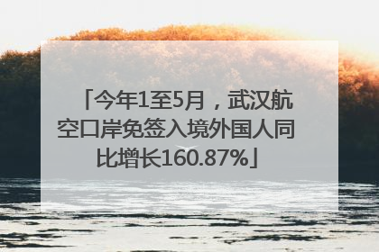今年1至5月，武汉航空口岸免签入境外国人同比增长160.87%