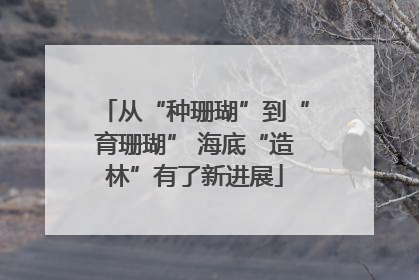 从“种珊瑚”到“育珊瑚” 海底“造林”有了新进展