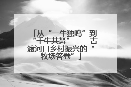 从“一牛独鸣”到“千牛共舞”——古渡河口乡村振兴的“牧场答卷”