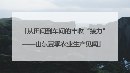 从田间到车间的丰收“接力”——山东夏季农业生产见闻