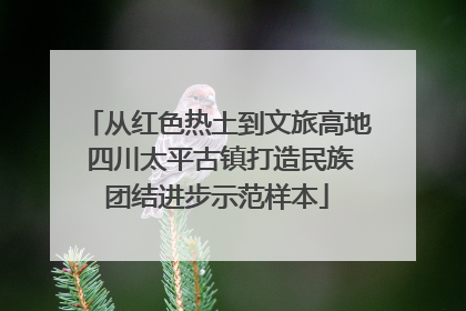 从红色热土到文旅高地 四川太平古镇打造民族团结进步示范样本