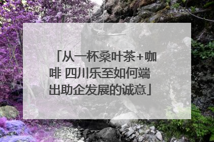 从一杯桑叶茶+咖啡 四川乐至如何端出助企发展的诚意
