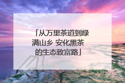 从万里茶道到绿满山乡 安化黑茶的生态致富路