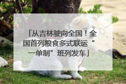 从吉林驶向全国！全国首列粮食多式联运“一单制”班列发车