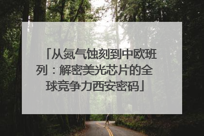 从氮气蚀刻到中欧班列：解密美光芯片的全球竞争力西安密码