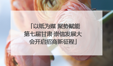 以纸为媒 聚势赋能 第七届甘肃·崇信发展大会开启招商新征程