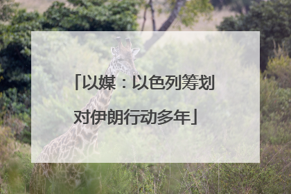 以媒：以色列筹划对伊朗行动多年