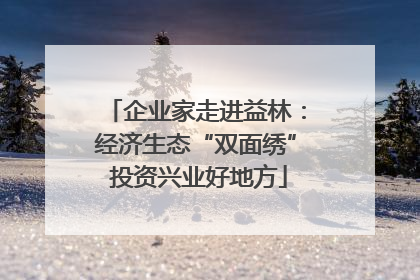 企业家走进益林：经济生态“双面绣” 投资兴业好地方