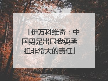 伊万科维奇：中国男足出局我要承担非常大的责任