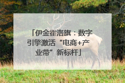 伊金霍洛旗：数字引擎激活“电商+产业带”新标杆