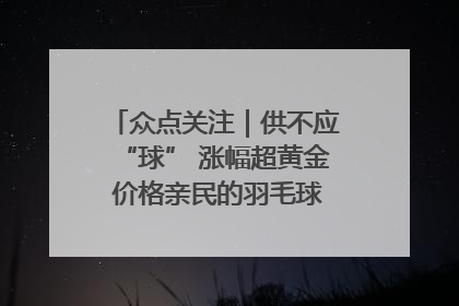 众点关注｜供不应“球” 涨幅超黄金 价格亲民的羽毛球为何身价飞涨？