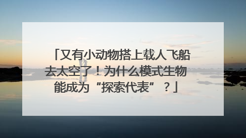 又有小动物搭上载人飞船去太空了！为什么模式生物能成为“探索代表”？