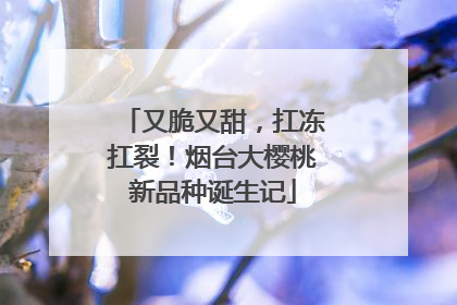 又脆又甜，扛冻扛裂！烟台大樱桃新品种诞生记