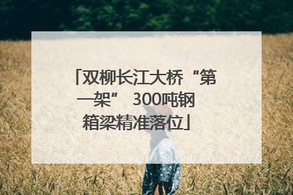 双柳长江大桥“第一架” 300吨钢箱梁精准落位