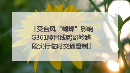 受台风“蝴蝶”影响 G361陵昌线鹦哥岭路段实行临时交通管制