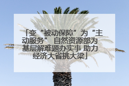 变“被动保障”为“主动服务” 自然资源部为基层解难题办实事 助力经济大省挑大梁