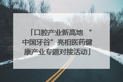口腔产业新高地 “中国牙谷”亮相医药健康产业专题对接活动