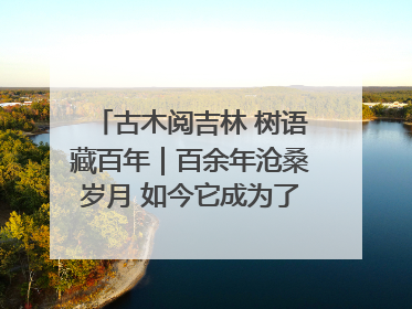 古木阅吉林 树语藏百年｜百余年沧桑岁月 如今它成为了“镇园之宝”
