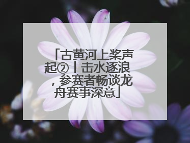古黄河上桨声起②丨击水逐浪，参赛者畅谈龙舟赛事深意