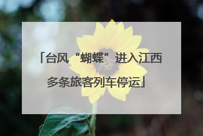 台风“蝴蝶”进入江西 多条旅客列车停运
