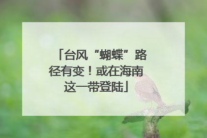 台风“蝴蝶”路径有变！或在海南这一带登陆