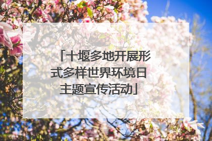 十堰多地开展形式多样世界环境日主题宣传活动