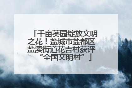 千亩葵园绽放文明之花！盐城市盐都区盐渎街道花吉村获评“全国文明村”